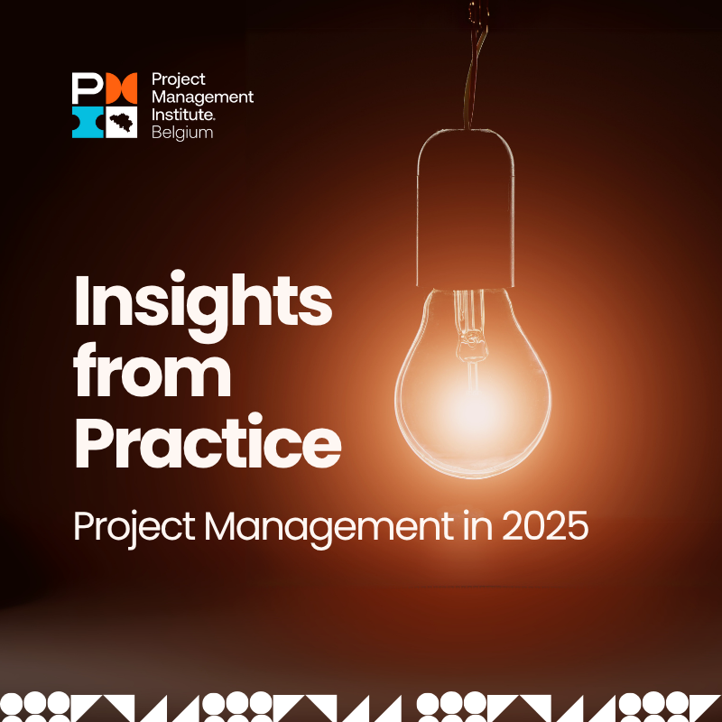 Project Management in 2025: Insights from Practice